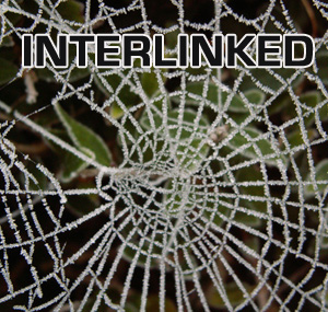 5 Reasons To Improve Your Internal Linking Today