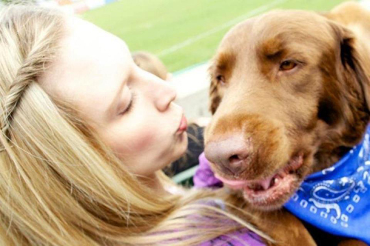 Bark in the Park