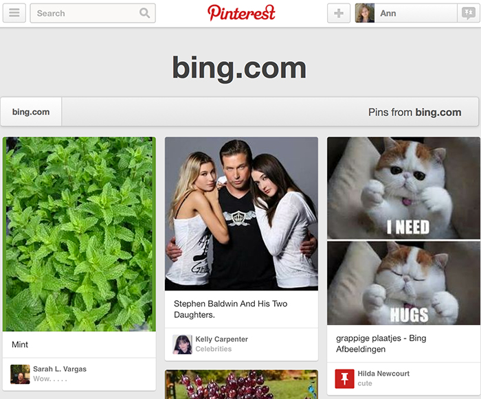 Pinterest Domain Search