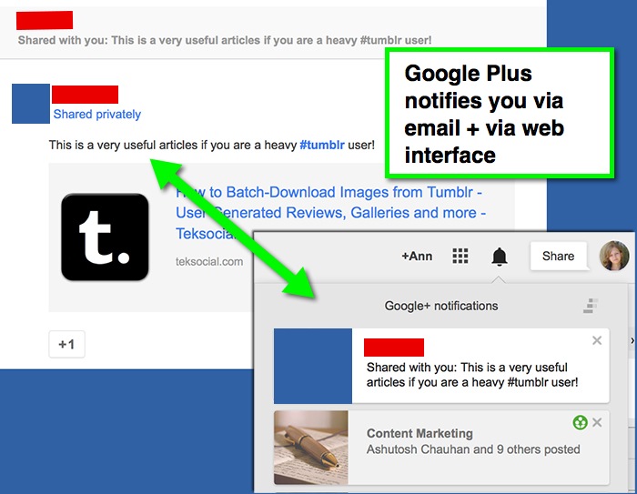 Google Plus notifications