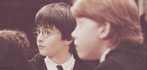 Harry Potter Reaction Gifs For Every Situation